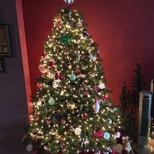 Meet your Posher, Tracey